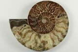 Cut & Polished, Agatized Ammonite Fossil - Madagascar #200143-2